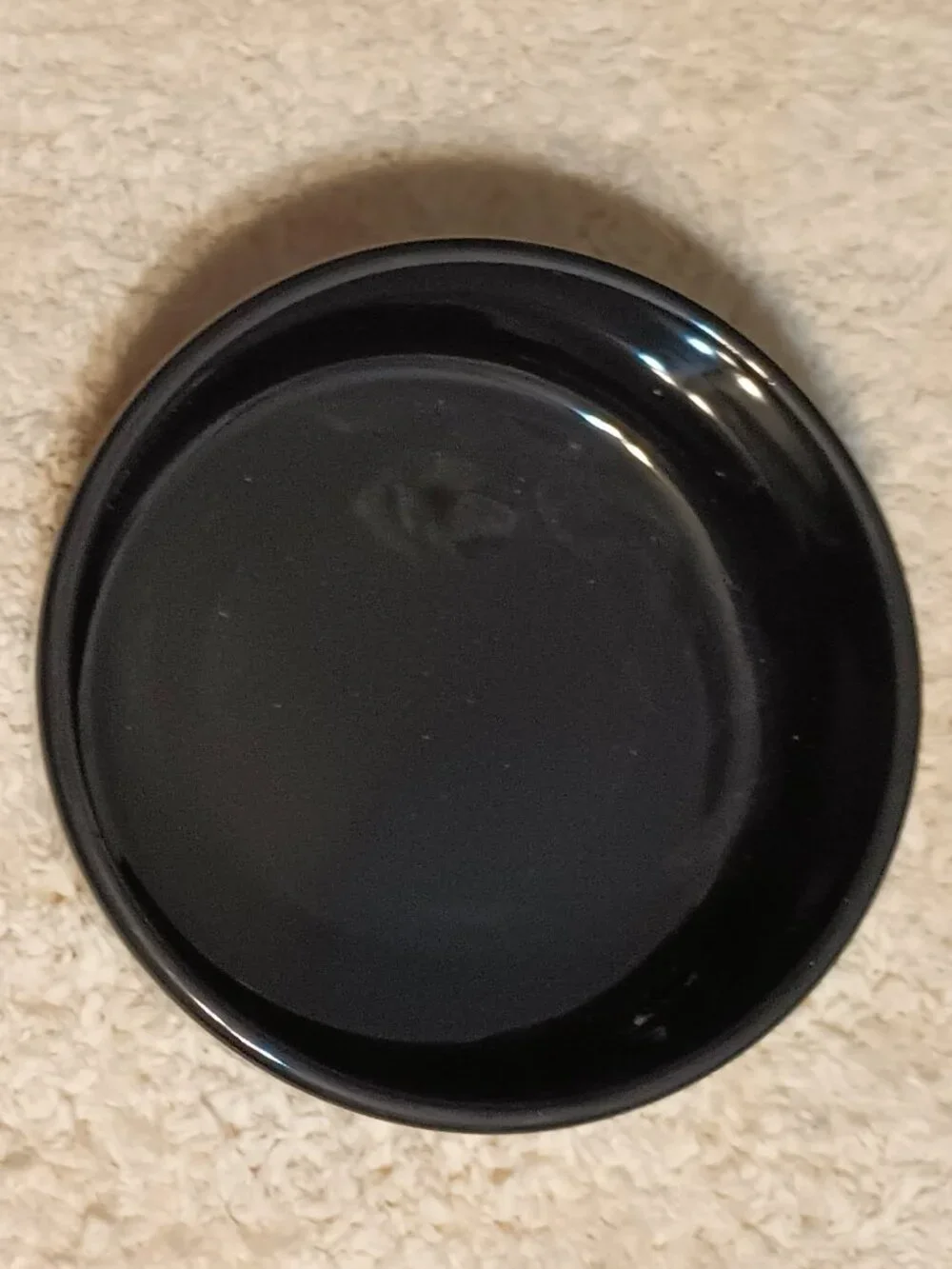 NWT ~ SportPet's Black Colored Paw Prints 